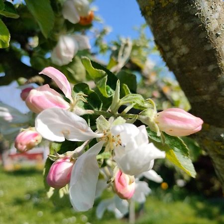 Sommarvilan Vaxholm Eksteriør bilde